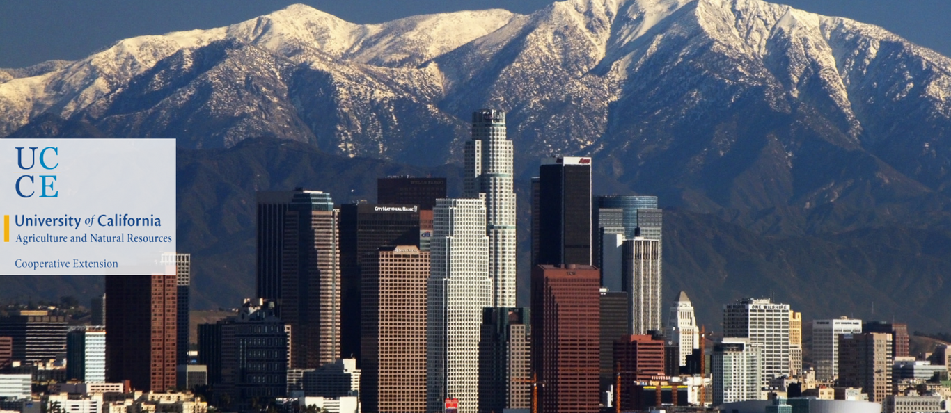 University of California skyline banner