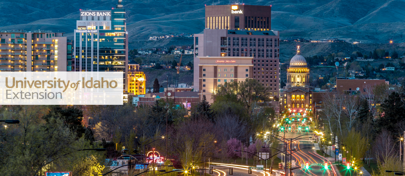 Idaho skyline banner