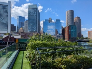 Rooftop garden with Boston skyline in background