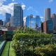 Rooftop garden with Boston skyline in background