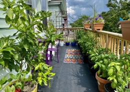 Balcony with a wooden railing and potted plants surrounding the interior.