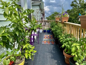 Balcony with a wooden railing and potted plants surrounding the interior.