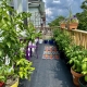 Balcony with a wooden railing and potted plants surrounding the interior.